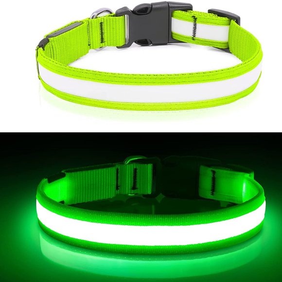 None Dog New Light Up Dog Collarsled Dog Collar Rechargeable Glow